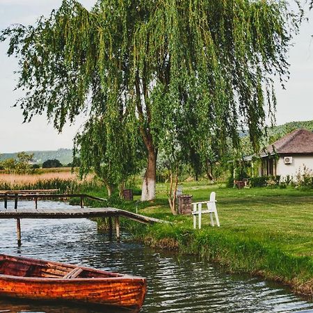Pensiunea Balta Paradisul Pescarilor Pufesti Kültér fotó