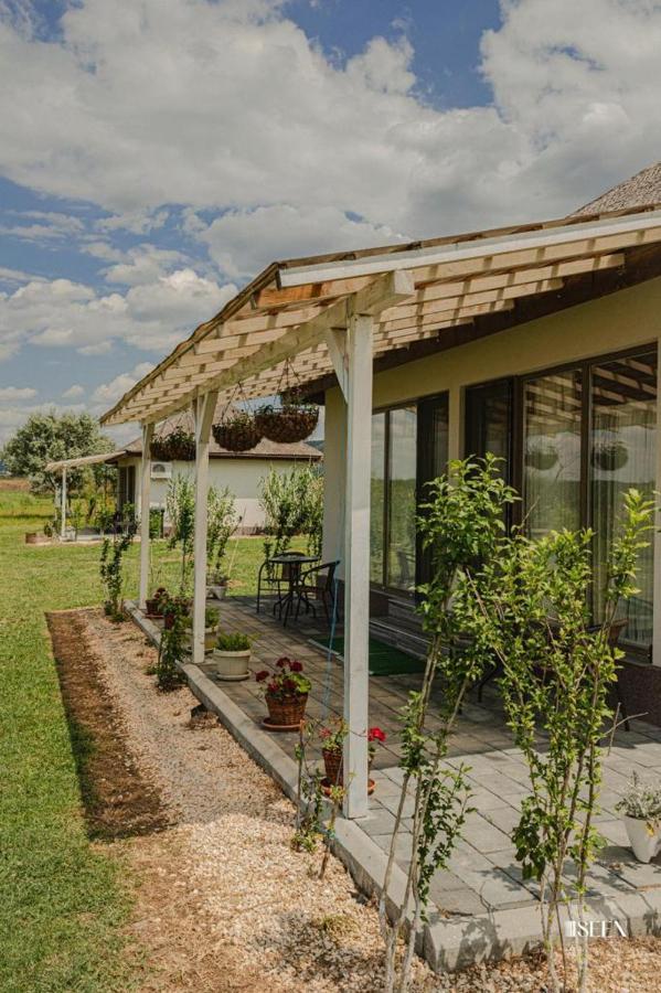 Pensiunea Balta Paradisul Pescarilor Pufesti Kültér fotó